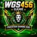 WGS456 Game